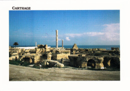 Tunisie -  CARTHAGE -  Les Thermes D Anton - Túnez