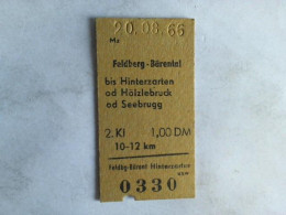 Fahrkarte Feldberg-Bärental Bis Hinterzarten Od Hölzlebruck Od Seebrugg Von (Eisenbahn-Fahrkarte) - Non Classés