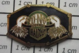 1618B Pin's Pins / Beau Et Rare : MUSIQUE / JOHNNY HALLYDAY TETES DE VAUTOURS - Musik