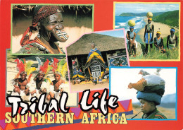 AFRIQUE DU SUD - Tribal Life - Folklore - Colorisé - Carte Postale - Südafrika