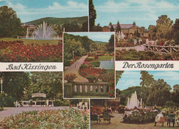 27358 - Bad Kissingen - Rosengarten - 1979 - Bad Kissingen