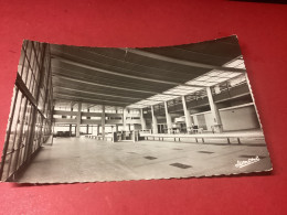 ALGER. Aérogare De La Maison. Blanche. Les Banques à Bagages - Aerodrome