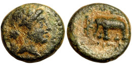 Monedas Antiguas - Ancient Coins (00103-006-0677) - Greek