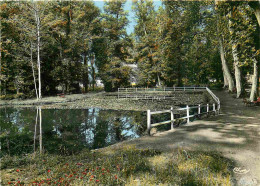 32 - Barbotan Les Thermes - Le Bassin Dans El Parc - Mention Photographie Véritable - Carte Dentelée - CPSM Grand Format - Barbotan