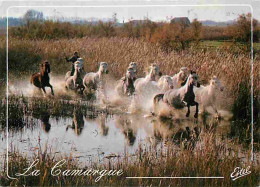 Animaux - Chevaux - Camargue - Chevaus Sauvages Dans Les Marais - Flamme Postale - CPM - Voir Scans Recto-Verso - Chevaux