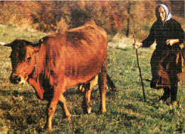 Animaux - Vaches - Le Retour à La Ferme - Paysans - Carte Gauffrée - CPM - Voir Scans Recto-Verso - Koeien