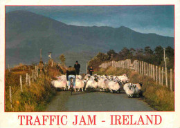 Irlande - Beauty Of Ireland's Landscape - Traffic Jam - Moutons - John Hinde Card - CPM - Voir Scans Recto-Verso - Otros & Sin Clasificación