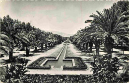 Maroc - Fez - Fès - Les Jardins De L'Avenue De France - Mention Photographie Véritable - Carte Dentelée - CPSM Format CP - Fez