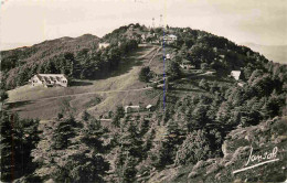 Algérie - Chréa - Station D'Eté Et D'Hiver - Piste De Ski Et Refuge Du Ski-Club - Mention Photographie Véritable - Carte - Sonstige & Ohne Zuordnung