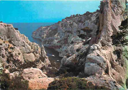 13 - Cassis - Calanque D'En Vau - CPM - Voir Scans Recto-Verso - Cassis