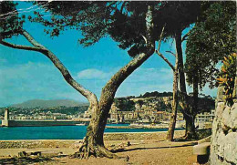 06 - Nice - Le Port Et Le Château - CPM - Voir Scans Recto-Verso - Transport Maritime - Port