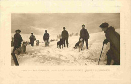 68 - Haut Rhin - Chiens Militaires Sur Les Neiges Des Hautes Vosges - Animée - CPA - Voir Scans Recto-Verso - Otros & Sin Clasificación