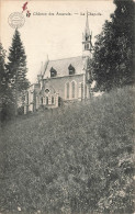 BELGIQUE - Amerois - Château Des Amerois - La Chapelle - Carte Postale Ancienne - Florenville