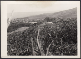 Veduta Panoramica Di Un Paese Da Identificare - 1940 Fotografia D'epoca - Orte