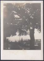 Veduta Di Un Luogo Da Identificare - 1950 Fotografia D'epoca - Orte