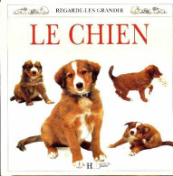 Le Chien (1991) De Collectif - Animales