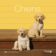 Chiens - La Collection (2012) De Collectif - Dieren