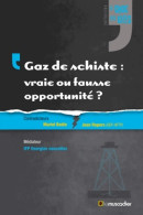 Gaz De Schiste : Vraie Ou Fausse Opportunité ? (2013) De Muriel Bodin - Nature