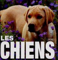 Les Chiens (2006) De Vito Bruno - Dieren