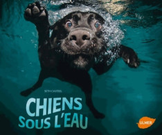 Chiens Sous L'eau (2013) De Seth Casteel - Animali