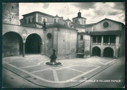 Rieti Città Cattedrale Palazzo Papale Foto FG Cartolina MZ5053 - Rieti