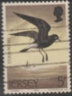 1975 Jersey USED STAMP ON BIRDS/ Hydrobates Pelagicus-Sea Bird - Gaviotas