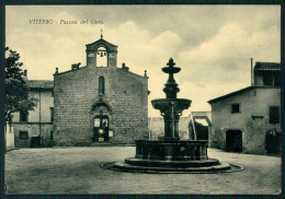 Viterbo Città Piazza Del Gesù Fontana FG Cartolina MZ5058 - Viterbo