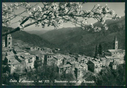 Imperia Cosio D'Arroscia Panorama Da Ponente Foto FG Cartolina MZ5063 - Imperia