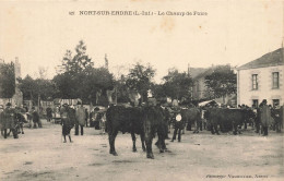 Nort Sur Erdre * Place , Le Champ De Foire * Marché Aux Bestiaux - Nort Sur Erdre