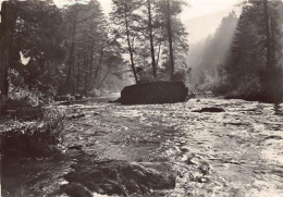 Morgenstimmung Im Schwarzatal - Saalfeld