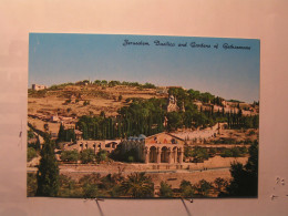 Jerusalem - Basilique Et Jardins De Gethsemane - Israel