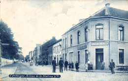 Jodoigne - Avenue De La Station, Café Au Cheval Blanc, Rail De  Tramway, Animée, Début 1900 - Geldenaken