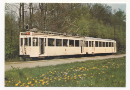 TRAMWAY HISTORIQUE LOBBES-THUIN - CONVOI CLASSIQUE EN BALADE À MARIEMONT - HM 10284 + HR 19405 - Tramways