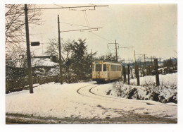 TRAMWAY HISTORIQUE LOBBES - THUIN - DERNIÈRES NEIGES  DU TRAM 91 S.N.C.V. - Tramways