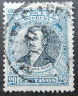 Bolivië Bolivia 1910 (3) E. Arze - Bolivie