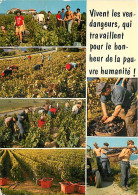 Vignes - Vendanges - Multivues - CPM - Voir Scans Recto-Verso - Viñedos