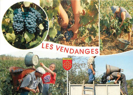 Vignes - Languedoc - Multivues - Vendanges - Blasons - CPM - Carte Neuve - Voir Scans Recto-Verso - Vines