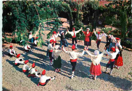 Folklore - Danses - Roussillon - La Sardane Par Le Jeune Groupe Arago - CPM - Voir Scans Recto-Verso - Dans