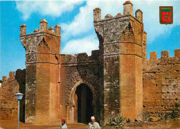 Maroc - Rabat - Bab Chellah - Porte De Chellah - CPM - Carte Neuve - Voir Scans Recto-Verso - Rabat