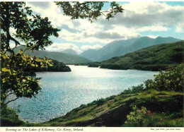 Irlande - Kerry - Killarney - Evening On The Lakes Of Killarney - CPM - Carte Neuve - Voir Scans Recto-Verso - Kerry