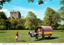 Irlande - Cork - Blarney Castle - Horse-Drawn Caravan - Chevaux - CPM - Voir Scans Recto-Verso - Cork