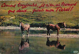 Animaux - Chevaux - Paysage De L'Est - Carte Humoristique - Flamme Postale De Colmar - CPM - Voir Scans Recto-Verso - Chevaux