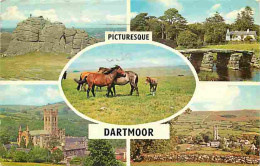 Animaux - Chevaux - Royaume-Uni - Dartmoor Ponies - Poneys - Multivues - CPM - UK - Voir Scans Recto-Verso - Paarden