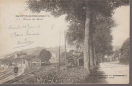 51 - SAINTE MENEHOULD -  ROUTE DE METZ - Sainte-Menehould