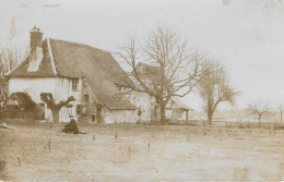 Ile Aux Cerises - Photocarte - Autres & Non Classés