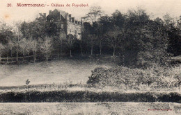 MONTIGNAC - Chateau De Puyrobert . - Montignac-sur-Vézère
