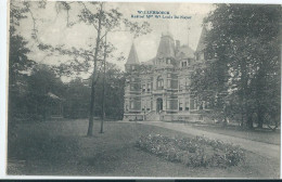 Willebroek - Willebroeck - Kasteel Mme We Louis De Nayer - 1923 - Willebrök