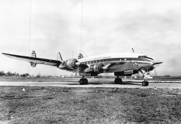 P-24-MOR-592 : AIR ALGERIE. CONSTELLATION - 1946-....: Moderne