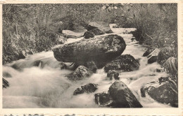 BELGIQUE - Malmédy - Vallée Du Bayhon - Carte Postale Ancienne - Malmedy