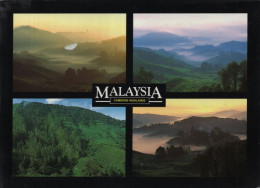 9002177 - Cameron Highlands - Malaysia - 4 Bilder - Malesia